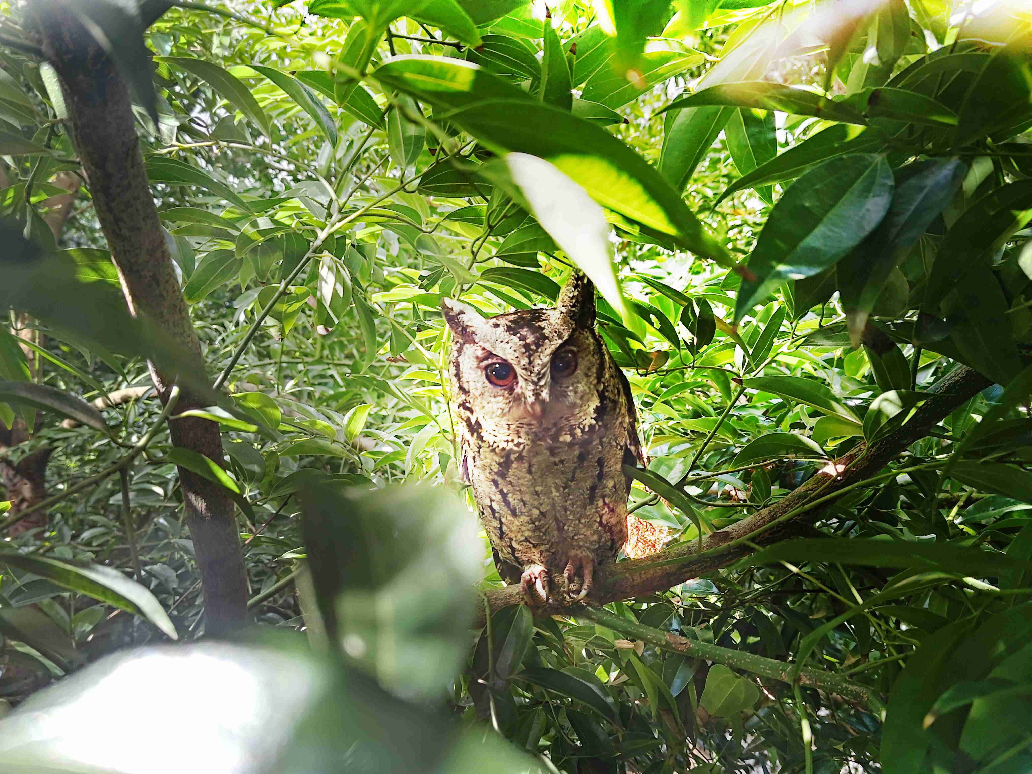 财神娱乐致力提倡净零绿生活，，16年以来在全球各厂区植树逾百万棵，，，造就各厂区树木蔚然成林，，犹如森林工厂，，，成为许多生物的栖息地